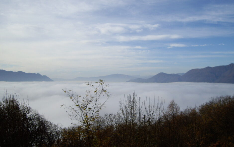 NEBBIA
