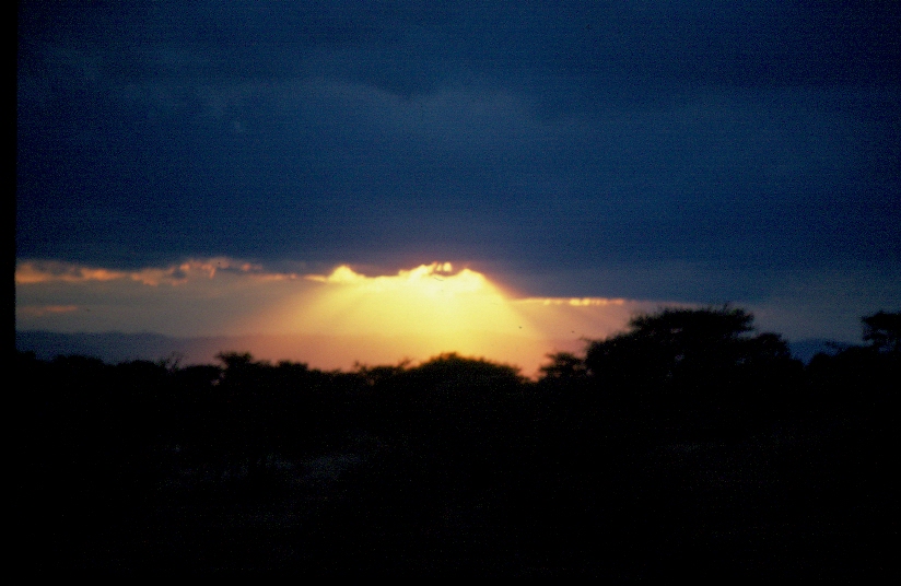 RAGGI DI SOLE