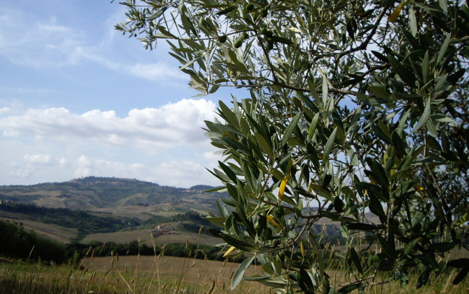 GIORNO DELLA PACE