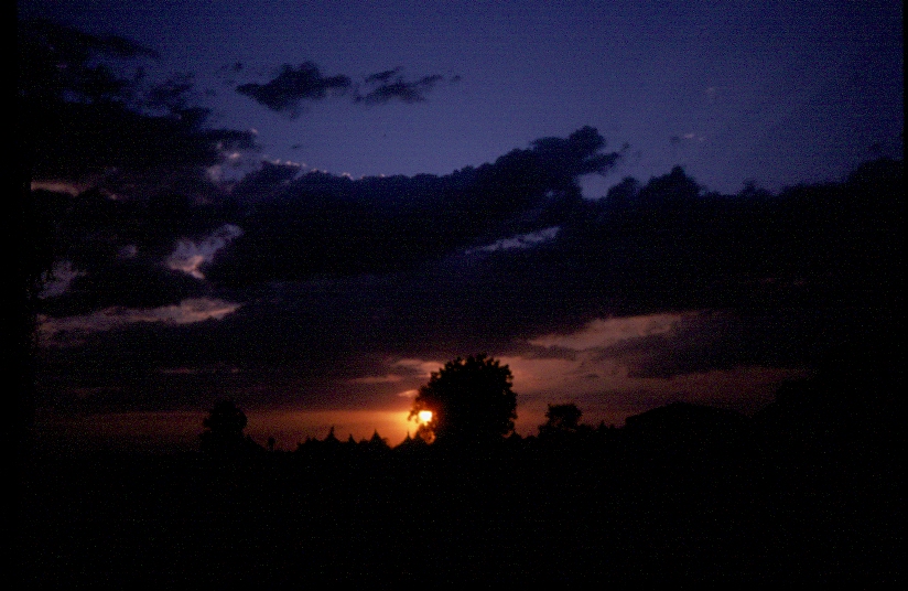 PIPISTRELLI
