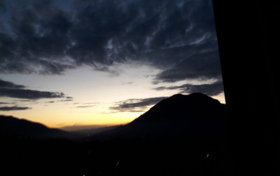 IN SCENA
